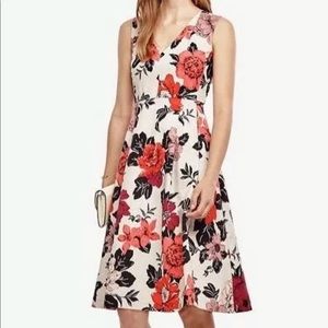 Ann Taylor Sundrenched Floral Flare Dress 10P